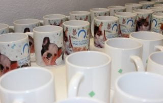 10636393_390524304428840_6796920487316343914_o